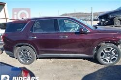 هيونداي باليسيد